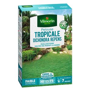 Pelouse Tropicale - Dichondra Repens 500 G